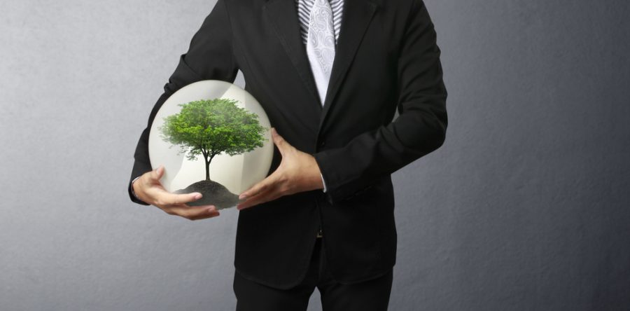 Gestión del Medio Ambiente  ISO – 14001